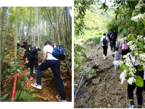 博行天下俱樂部走進從化十登的第二峰-雞枕山 -4