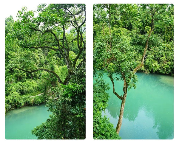 多彩貴州，魅力天下，2021年廣東博皓快樂貴州行-29