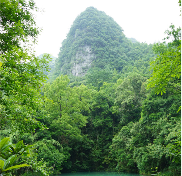 賞華夏大地，游多彩貴州-－2021年廣東博皓快樂行-2