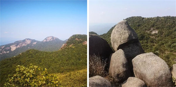 廣東博皓 博行天下丨虎年第一爬，挑戰(zhàn)從化老虎頭   -4