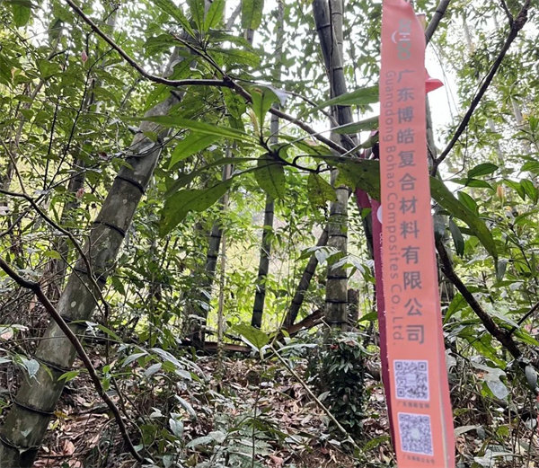 凝心聚力再出發,風雨同舟赴星溪!--廣東博皓2024龍年首登星溪之旅 -2