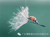 【博皓感悟】成功，要“借力”，不要“盡力”